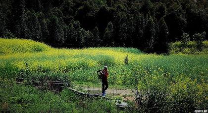 国产春色在线,探寻中国电影中的青春与色彩