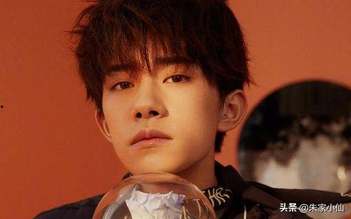 娱乐吃瓜杨洋视频大全